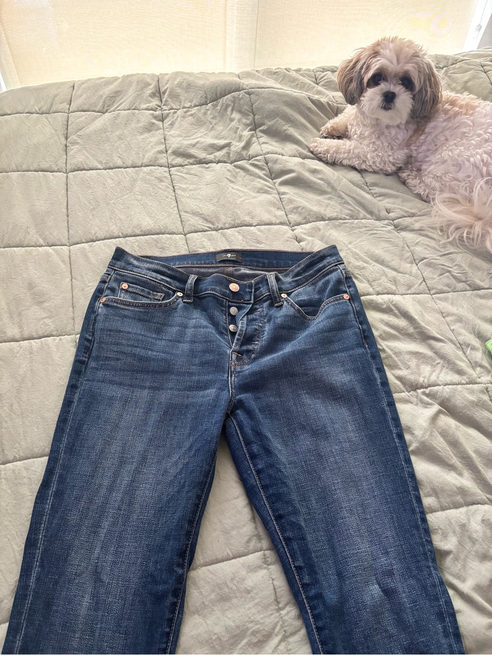 7 For All Mankind Straight Leg Jeans in Dark Blue Wash
